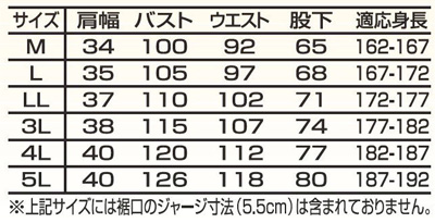 A-6600サイズ表